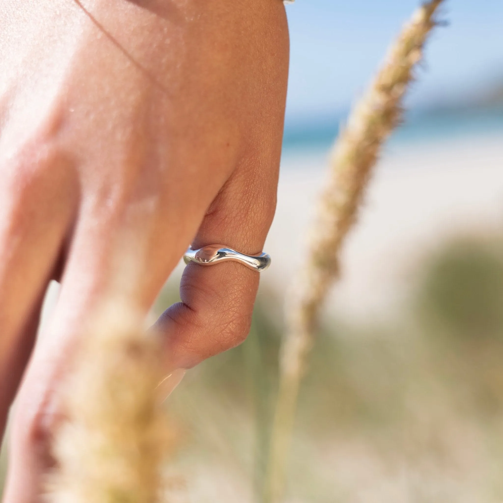 Gulf Stream Ring